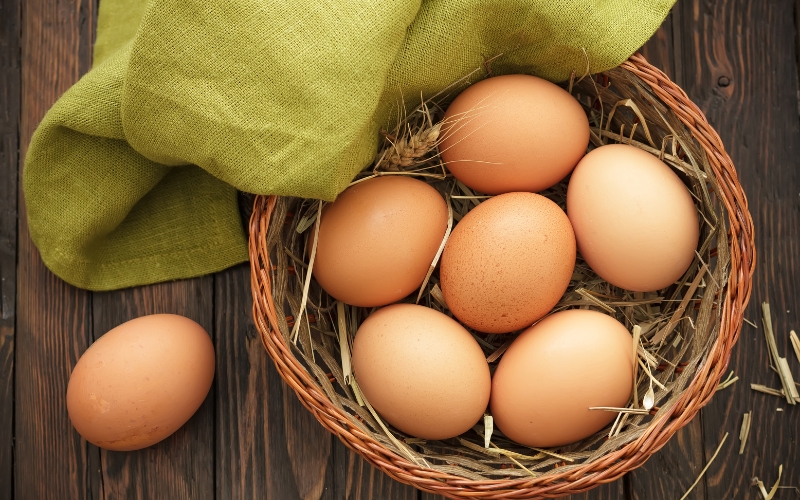 trứng là thực phẩm chứa nhiều chất dinh dưỡng
